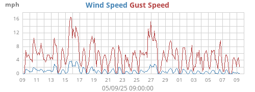 Wind Speed