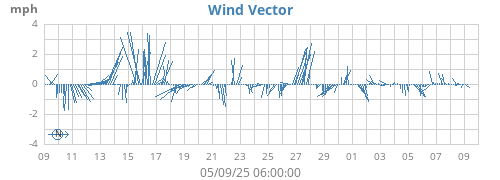 Wind Vector